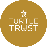TurtleTrust Foundation logo